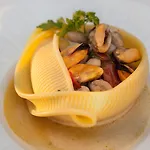 Nettuno 4*
