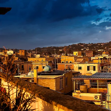 ネットゥーノ 4*